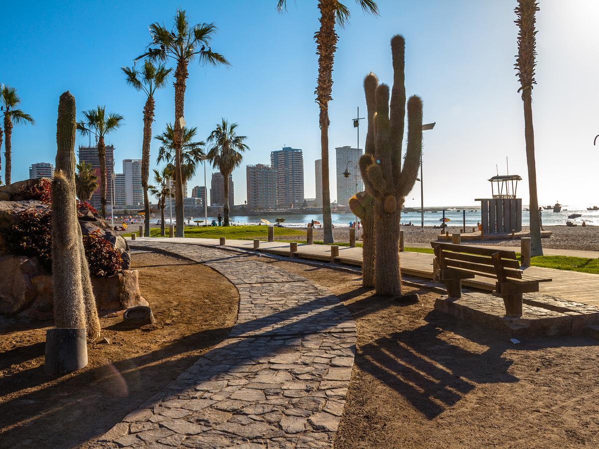 Gran Cavancha & Iquique
